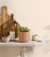 Load image into Gallery viewer, Calm Rose