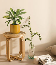 Load image into Gallery viewer, Mustard