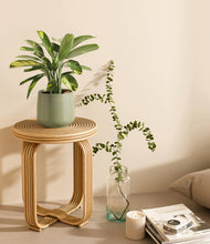 Load image into Gallery viewer, Turquoise