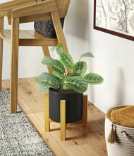 Load image into Gallery viewer, Black