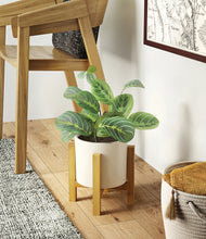 Load image into Gallery viewer, Cream