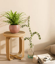 Load image into Gallery viewer, Calm Rose