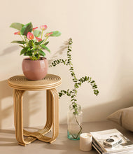 Load image into Gallery viewer, Calm Rose