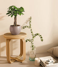 Load image into Gallery viewer, Winter Clouds