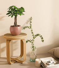 Load image into Gallery viewer, Calm Rose