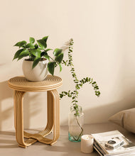 Load image into Gallery viewer, Shiny EggWhite