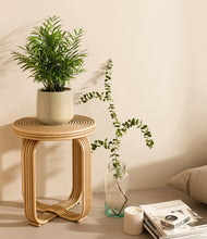 Load image into Gallery viewer, Almond Green