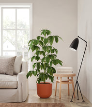 Load image into Gallery viewer, Earth Red