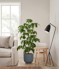 Load image into Gallery viewer, Iron Gray