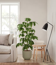 Load image into Gallery viewer, Sage Green