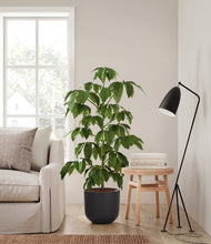 Load image into Gallery viewer, Stone Black