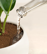 Load image into Gallery viewer, Woodland stand:all