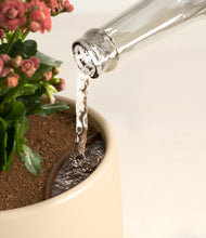 Load image into Gallery viewer, Almond Green