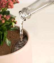 Load image into Gallery viewer, Gentle Pink