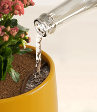 Load image into Gallery viewer, Mustard