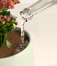 Load image into Gallery viewer, Turquoise