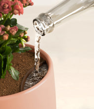 Load image into Gallery viewer, Calm Rose