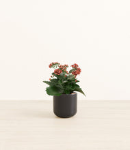 Load image into Gallery viewer, Stone Black*****Profile