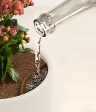 Load image into Gallery viewer, Natural Bamboo