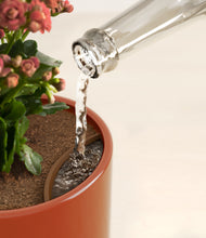 Load image into Gallery viewer, Glossy Red