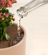 Load image into Gallery viewer, Glossy Pink