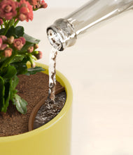 Load image into Gallery viewer, Key Lime Yellow