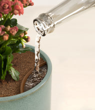 Load image into Gallery viewer, Reactive Aqua