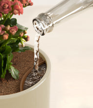 Load image into Gallery viewer, Sage Green