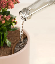 Load image into Gallery viewer, Sandy Pink