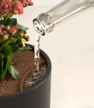 Load image into Gallery viewer, Stone Black