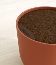 Load image into Gallery viewer, Earth Red stand:all