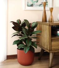 Load image into Gallery viewer, Earth Red