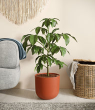 Load image into Gallery viewer, Earth Red