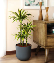 Load image into Gallery viewer, Iron Gray