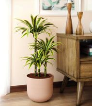 Load image into Gallery viewer, Sandy Pink