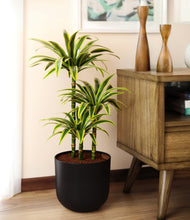 Load image into Gallery viewer, Stone Black