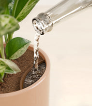 Load image into Gallery viewer, Glossy Pink stand:all