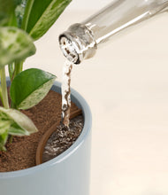 Load image into Gallery viewer, Misty Blue stand:all