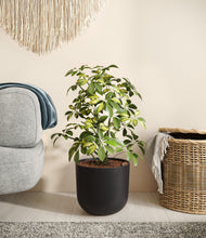 Load image into Gallery viewer, Stone Black