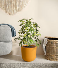 Load image into Gallery viewer, Sunset Orange