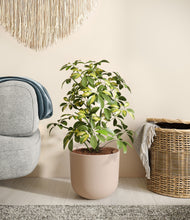 Load image into Gallery viewer, Sandy Pink