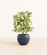 Load image into Gallery viewer, Deep Navy*****Profile