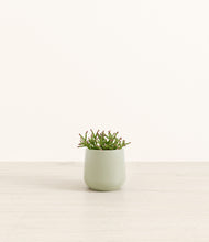 Load image into Gallery viewer, Turquoise*****Profile