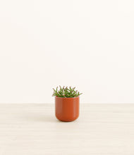 Load image into Gallery viewer, Glossy Red*****Profile