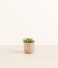 Load image into Gallery viewer, Glossy Pink*****Profile