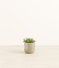 Load image into Gallery viewer, Sage Green*****Profile