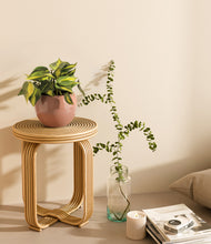 Load image into Gallery viewer, Calm Rose