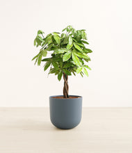 Load image into Gallery viewer, Iron Gray*****Profile