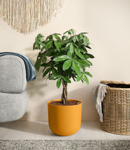 Load image into Gallery viewer, Sunset Orange