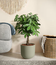 Load image into Gallery viewer, Sage Green